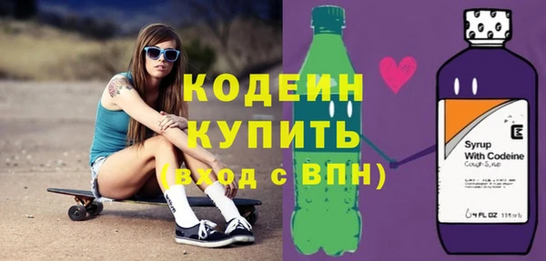 индика Аркадак