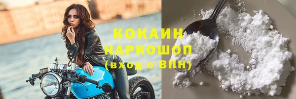 индика Аркадак