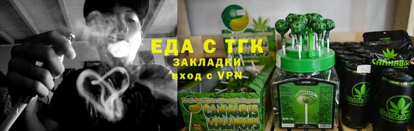 индика Аркадак