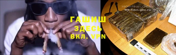 индика Аркадак