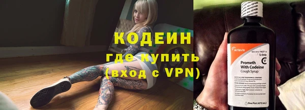 индика Аркадак