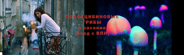 индика Аркадак