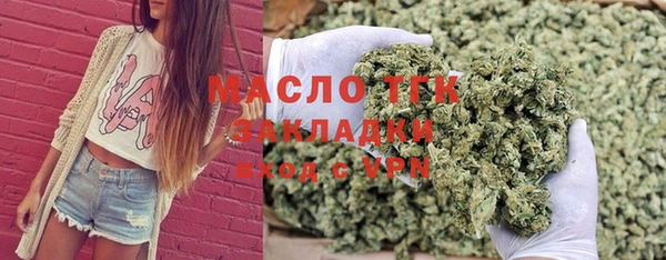 индика Аркадак