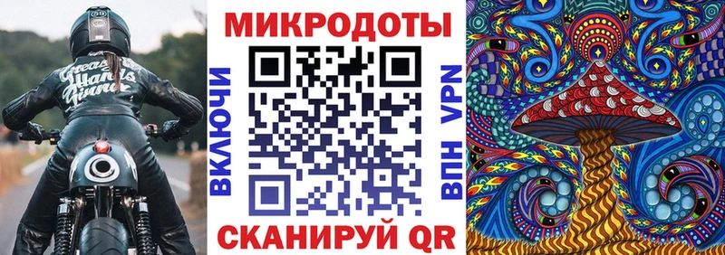 Галлюциногенные грибы Psilocybe  закладки  Теберда 